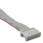 ASSMANN 的 DIP 對單端 0.1' x 0.3'